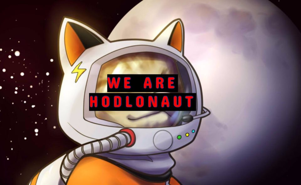 Hodlonaut And Creates Huge Twitter Reaction.